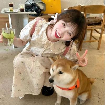 万圣德加的传奇